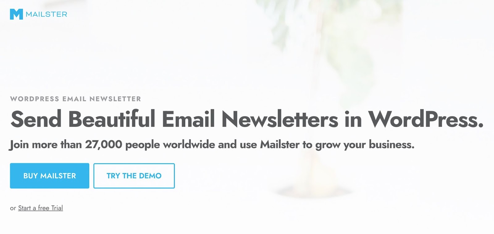 WordPress email marketing plugins, the Mailster homepage