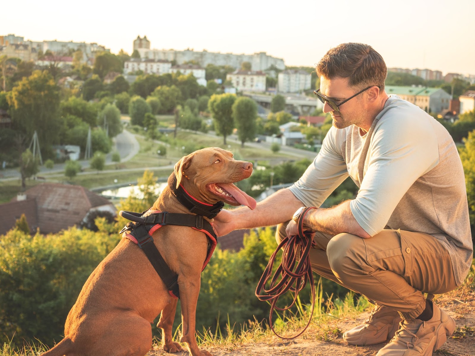 Man and brown dog bonding outdoors with town in background.