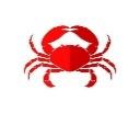 Crab Vector Art & Graphics | freevector.com