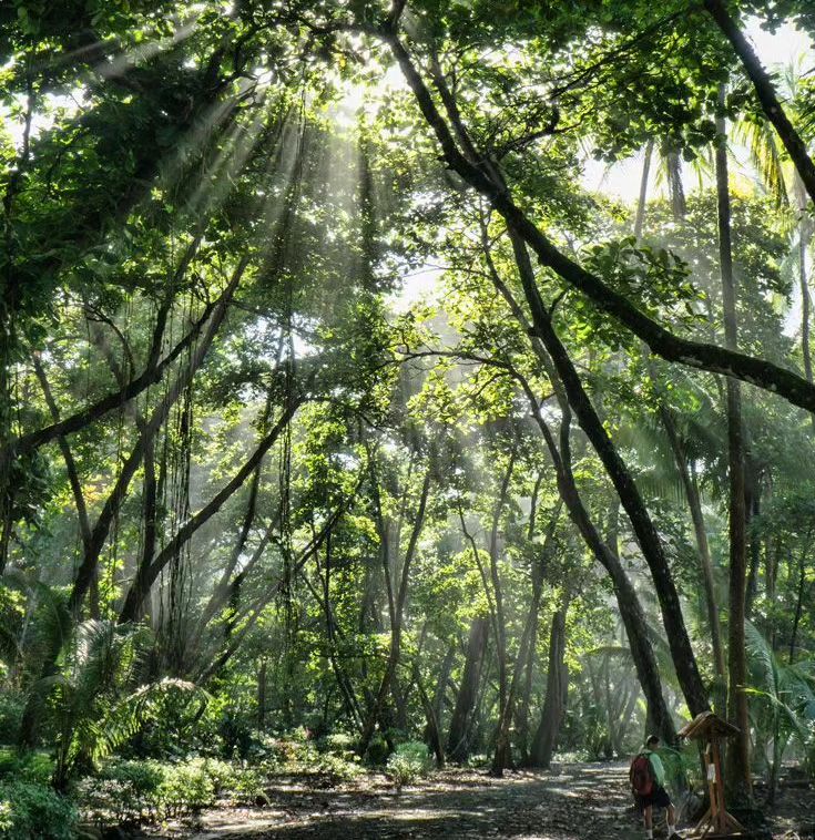 Corcovado National Park Tours