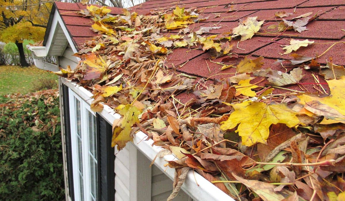 How to Clean Gutters from the Ground?