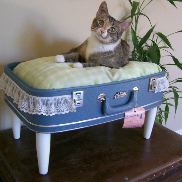 You can give your pet a touch of vintage with a suitcase-turned-dog-bed. Try to make it extra cute with added bunting. Then, place a soft cushion inside. 