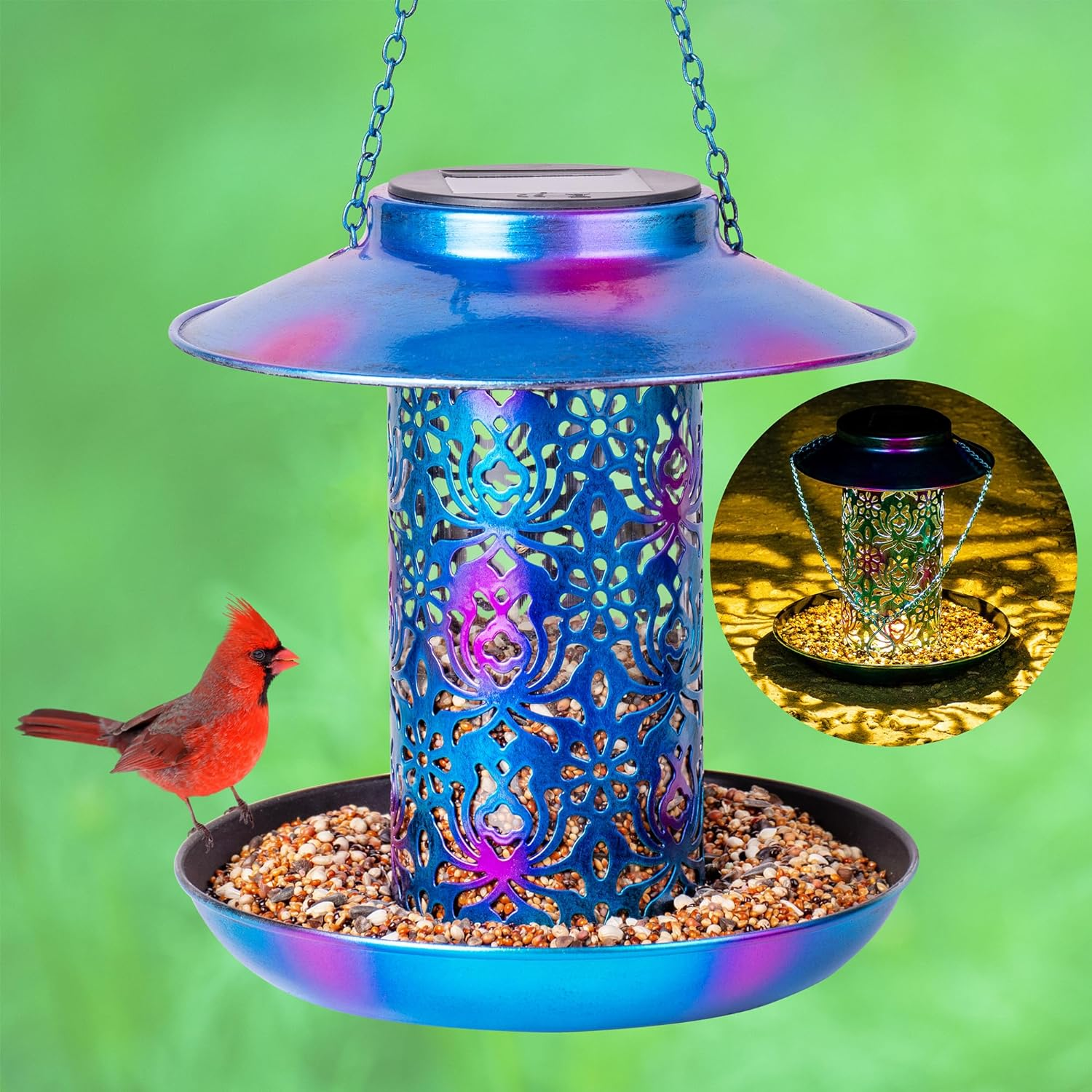 blue bird feeder