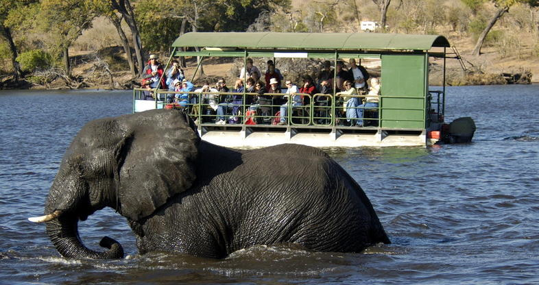 Chobe River