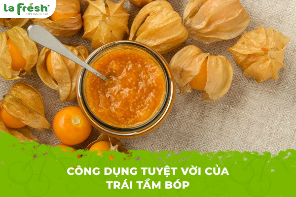 Công dụng tuyệt vời của trái tầm bóp