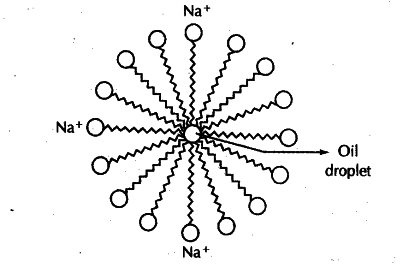 With the help of a diagram, explain cleansing action of soap - CBSE Class  10 Science - Learn CBSE Forum