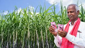 India's Sugarcane Subsidy