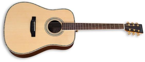 ZAD900 Solid Spruce/Rosewood Acoustic Pro Series