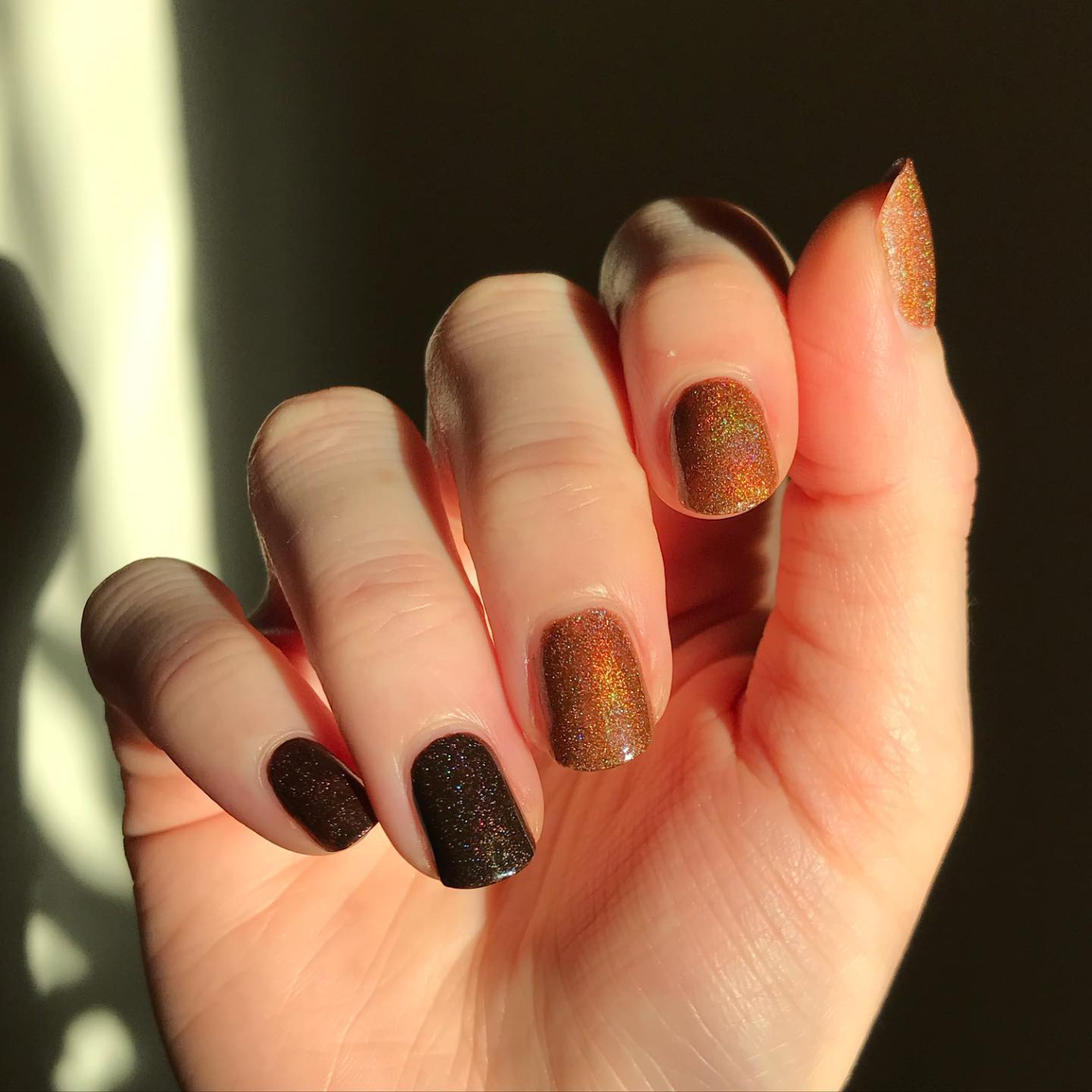 Deep Brown & Caramel Glitter Brown Nails