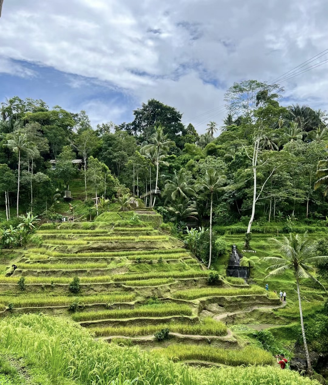 #印尼 🇮🇩峇里島客製化mini團 ｜印尼傳統庭院+網美鞦韆