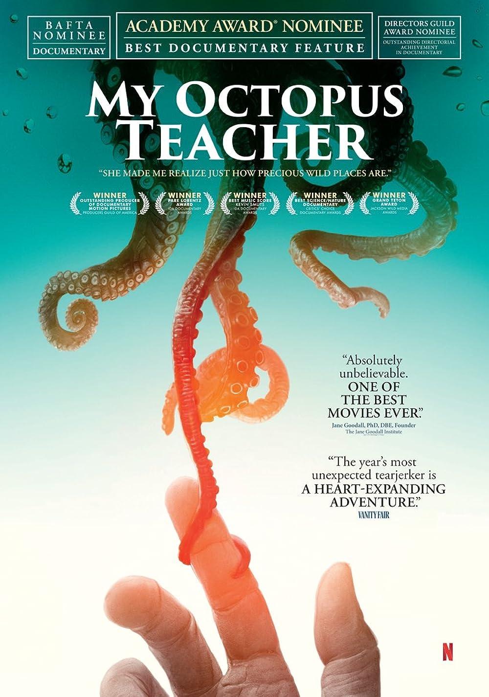 My Octopus Teacher (2020) - IMDb