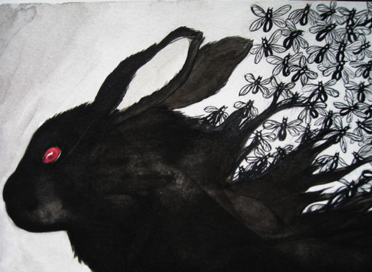 Psychological Perspectives on Dreaming of Black Bunnies