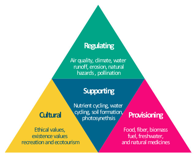 What are Ecosystem Services? – Earthwise Aware