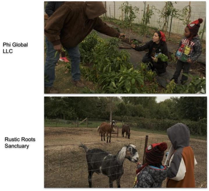 A collage of people in a farm  Description automatically generated