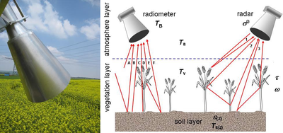 Ground-based active and passive microwave remote sensing