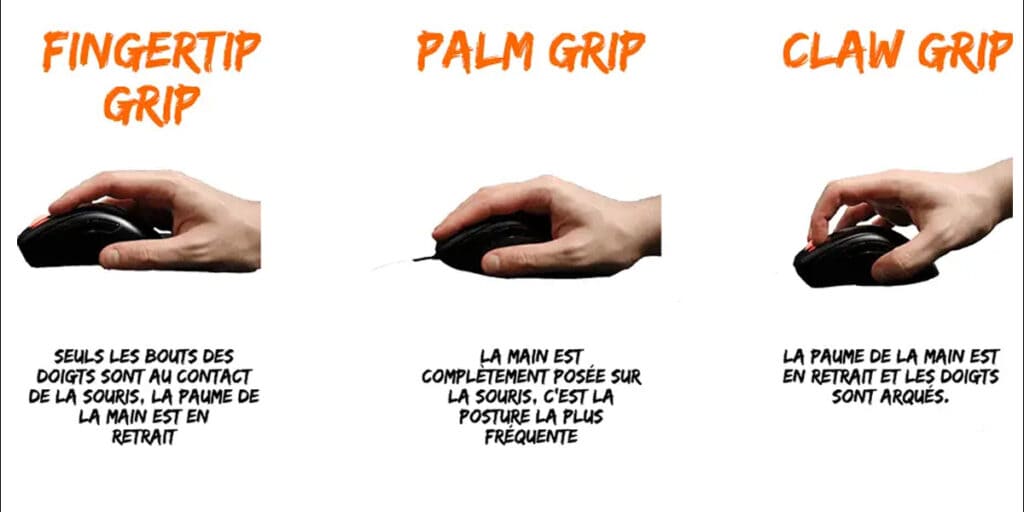 Les 3 différents types de prises en mains : fingertip grip, palm grip, claw grip