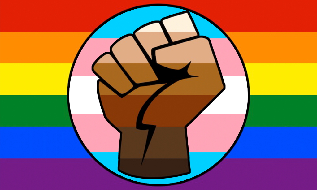 Flag design comprising an upheld fist coloured in horizontal stripes of different flesh tones from 'black' to 'white' superimposed on a circular field of horizontal blue, pink and  white stripes representing trans inclusion, all set against a background of the classical rainbow flag for LGBTQ+ inclusion.