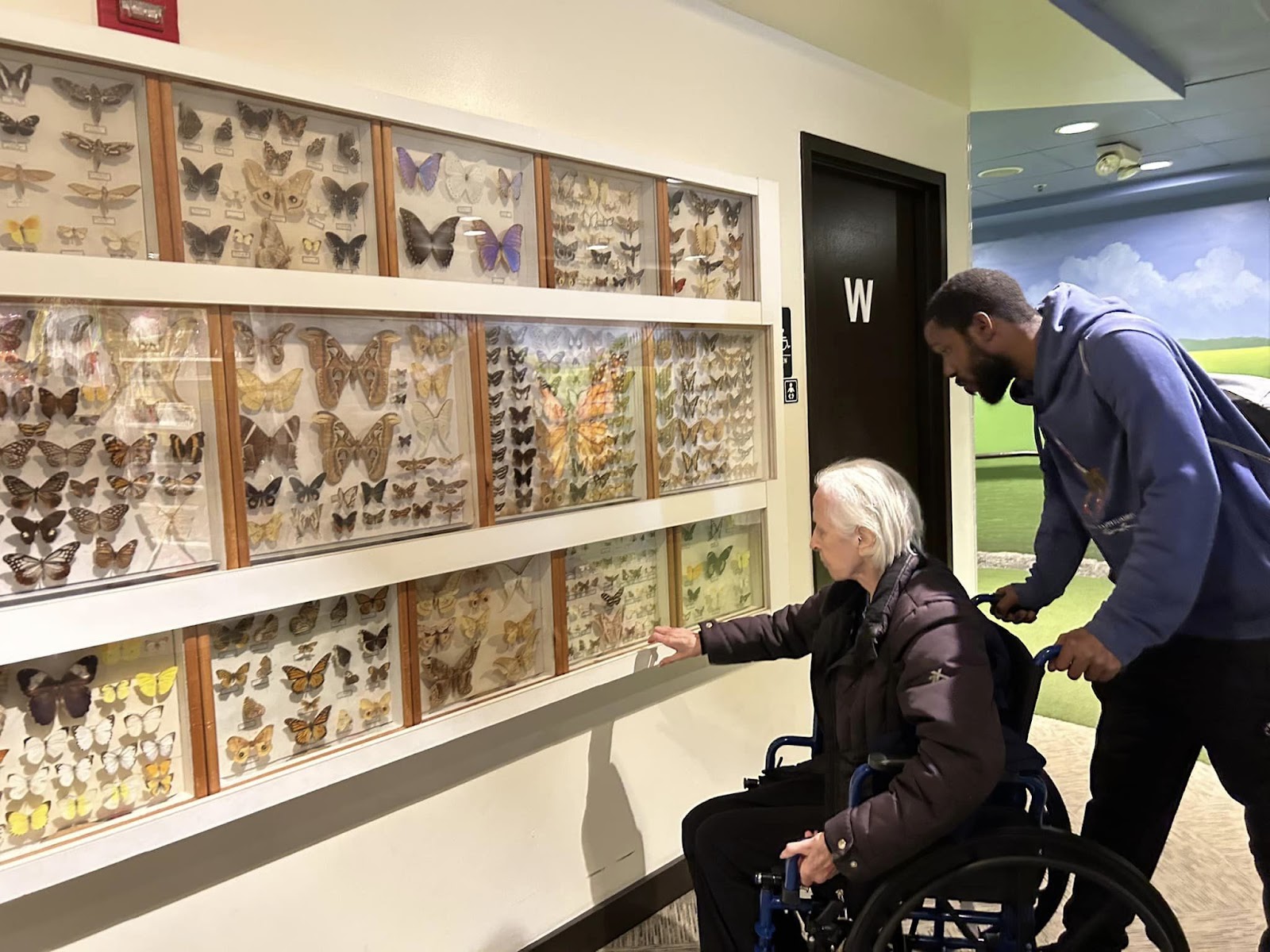 A person being guided by a helper at a butterfly exhibit