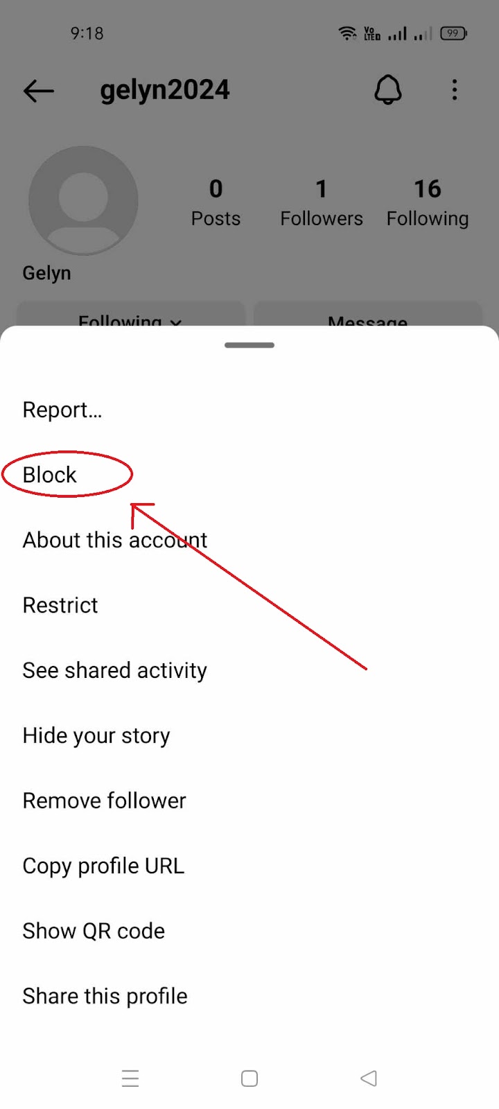 Hide Followers on Instagram - Block