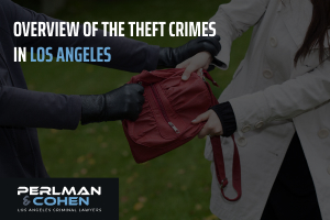 Overview of theft crimes in Los Angeles