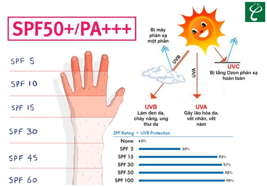 Cần đảm bảo chỉ số SPF khi gia công kem chống nắng mùa đông