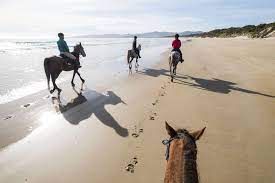 Horse Riding on the Beach at Bakers Beach - Cradle Country Adventures