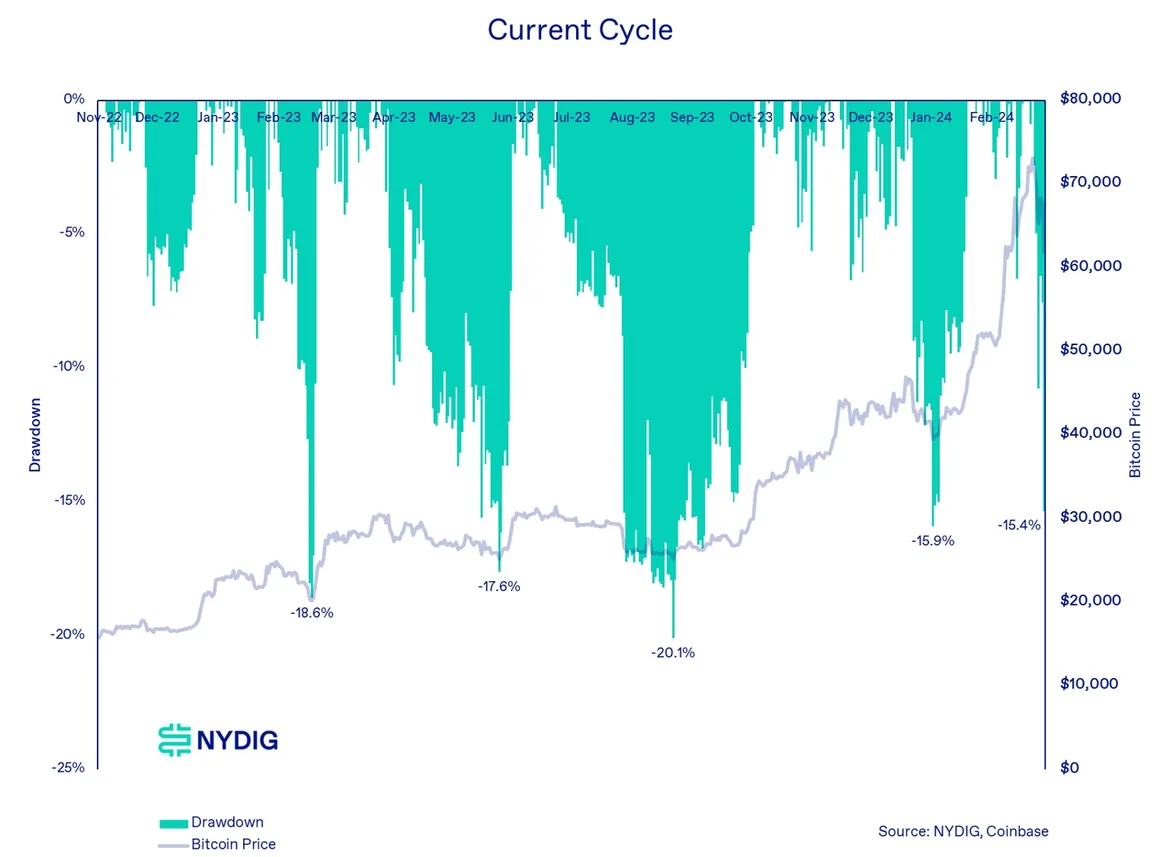 Chart by NYDIG for current Bitcoin cycle