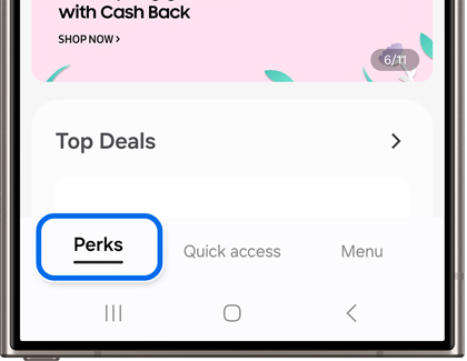 Perks highlighted on the Samsung Wallet app on a Galaxy phone