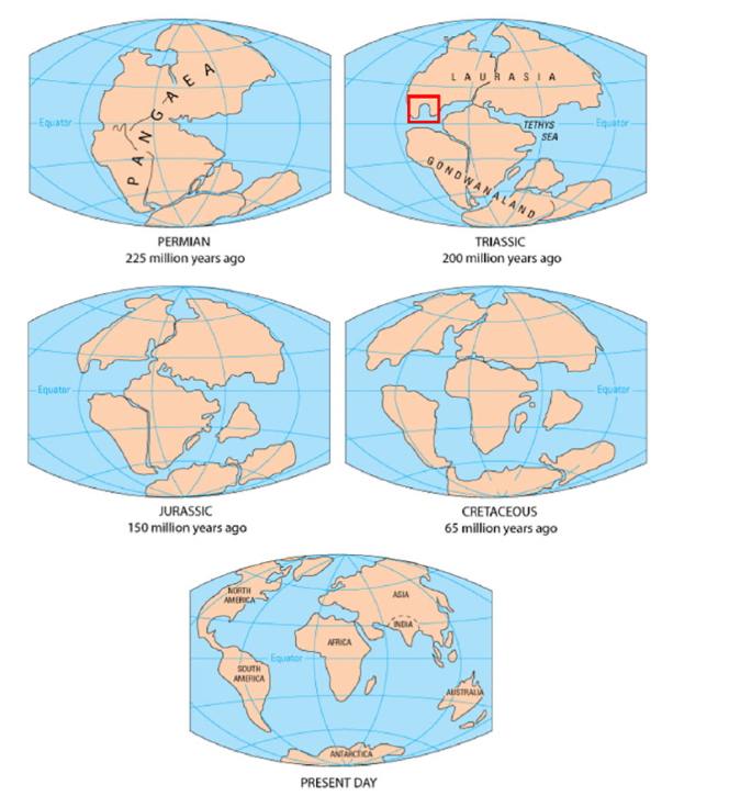 Diagrammatic Representation of Drift of Continents