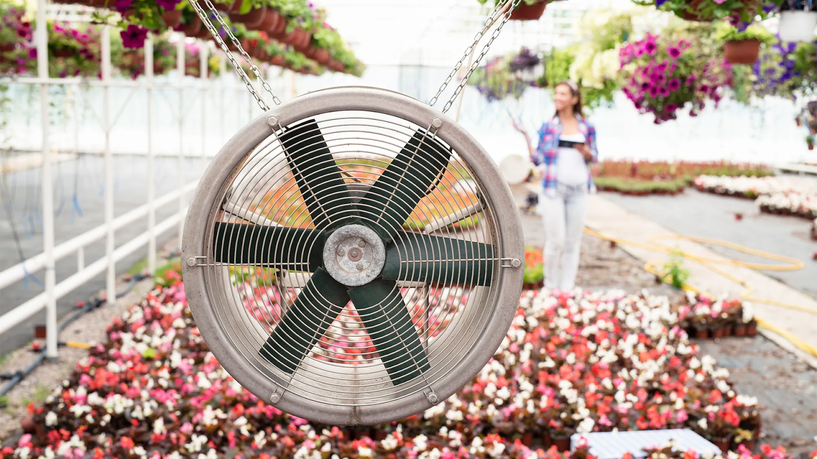 Use A Fan For Indoor Growing