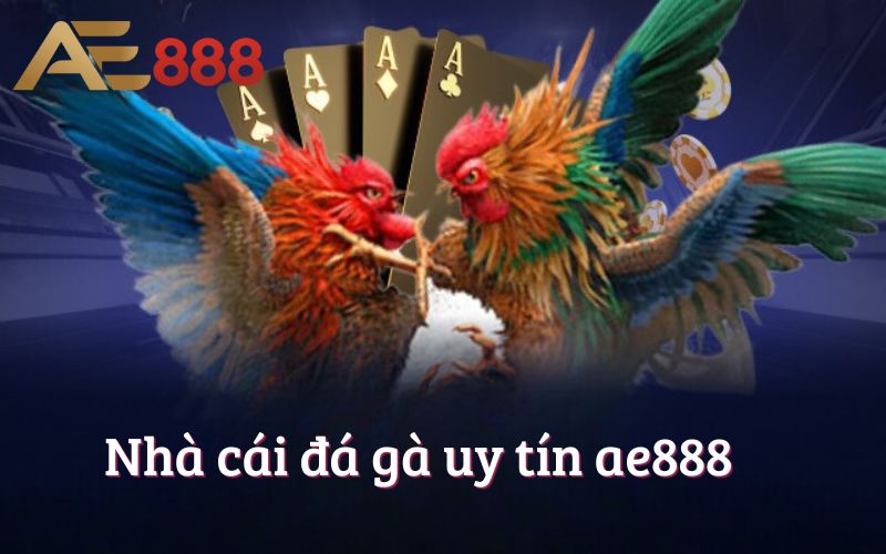 Nhà cái đá gà uy tín ae888