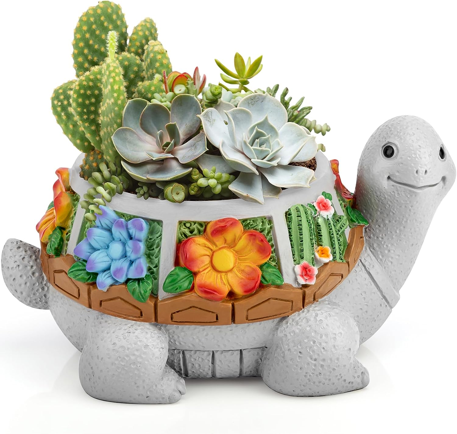 succulent pot turtle