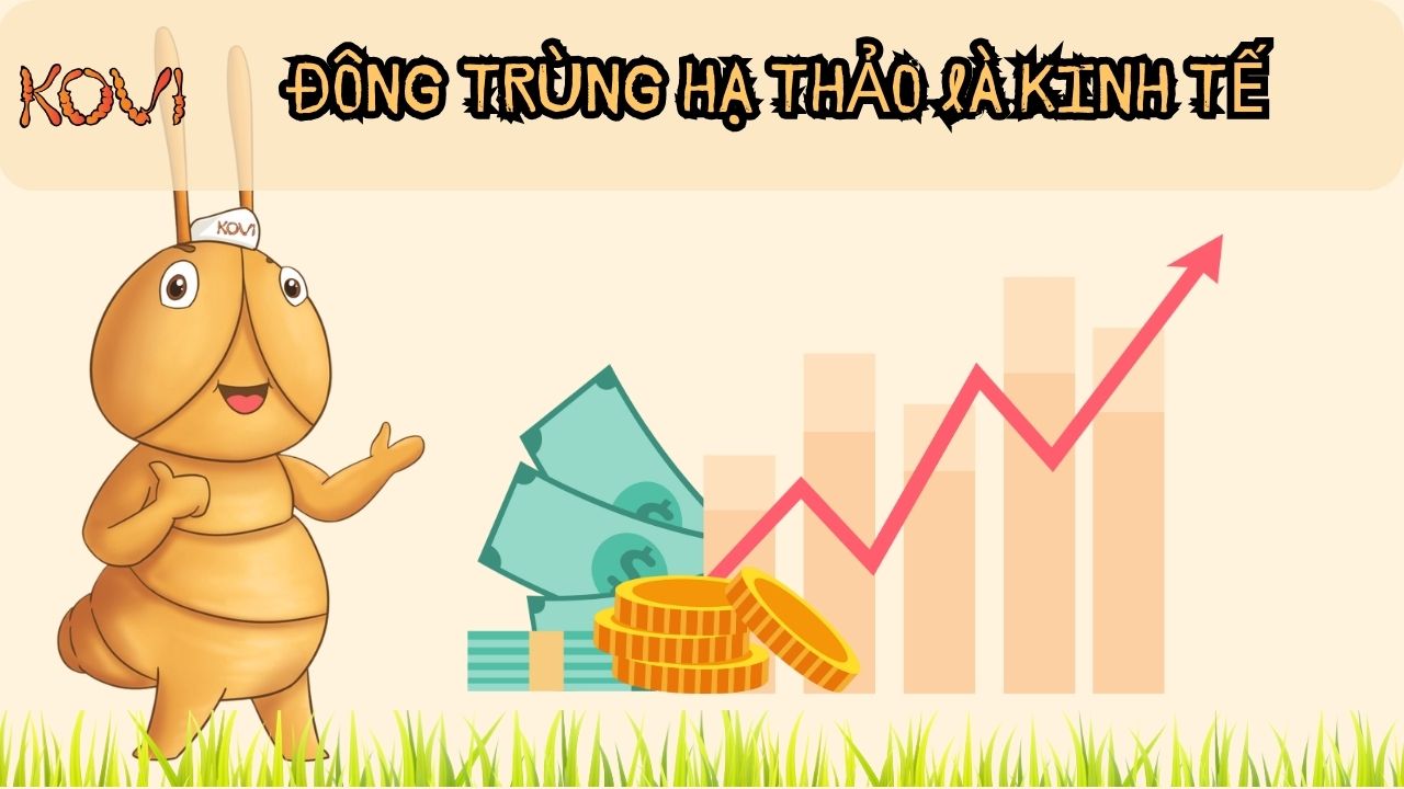 Đông trùng hạ thảo là kinh tế