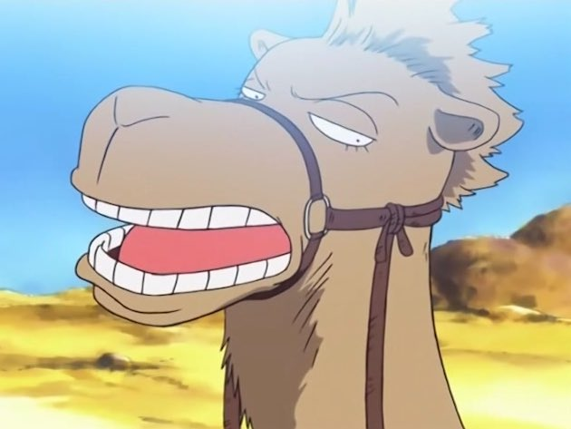 Matsuge in One Piece.