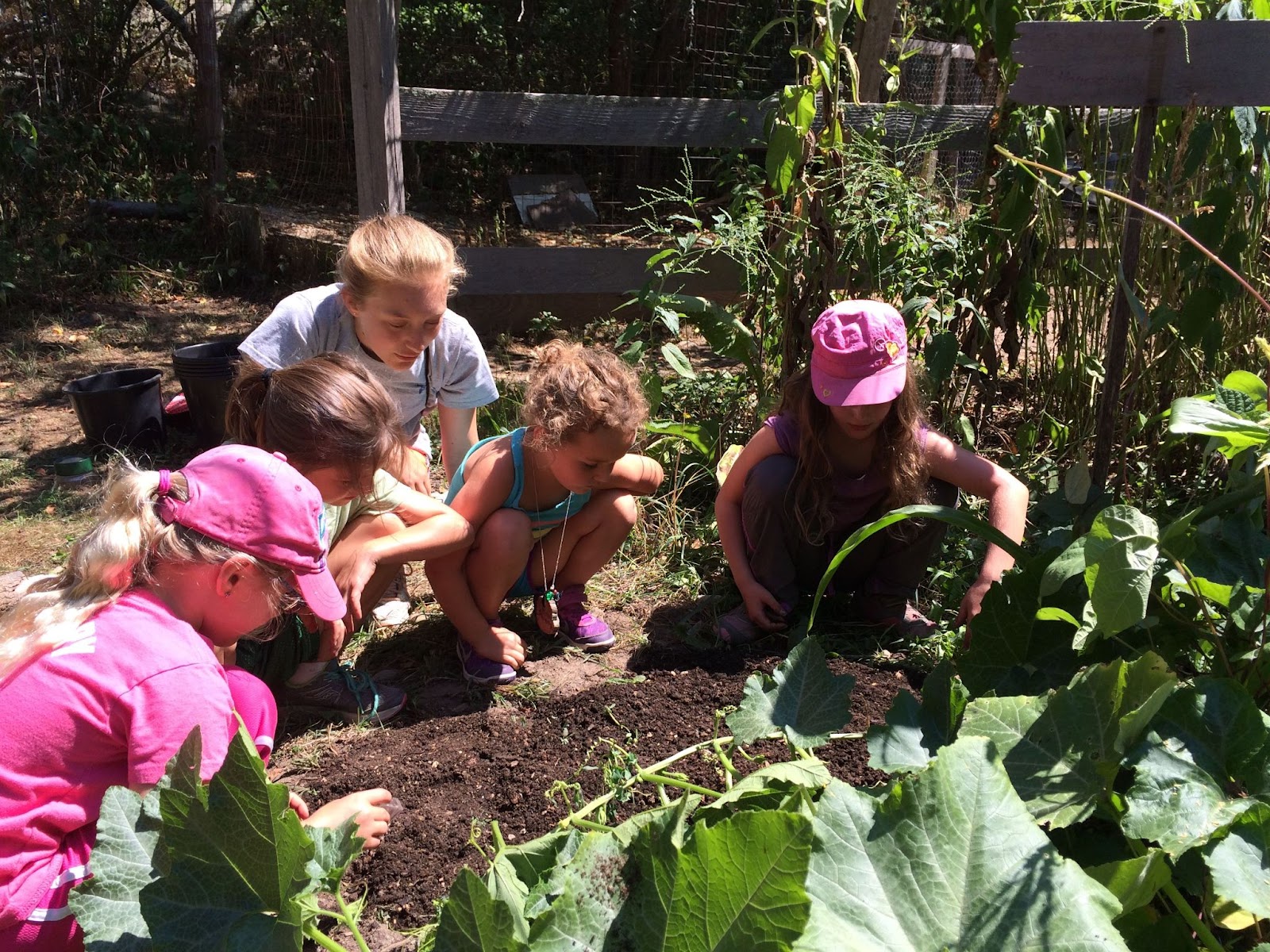 Kids learning about organic farming,