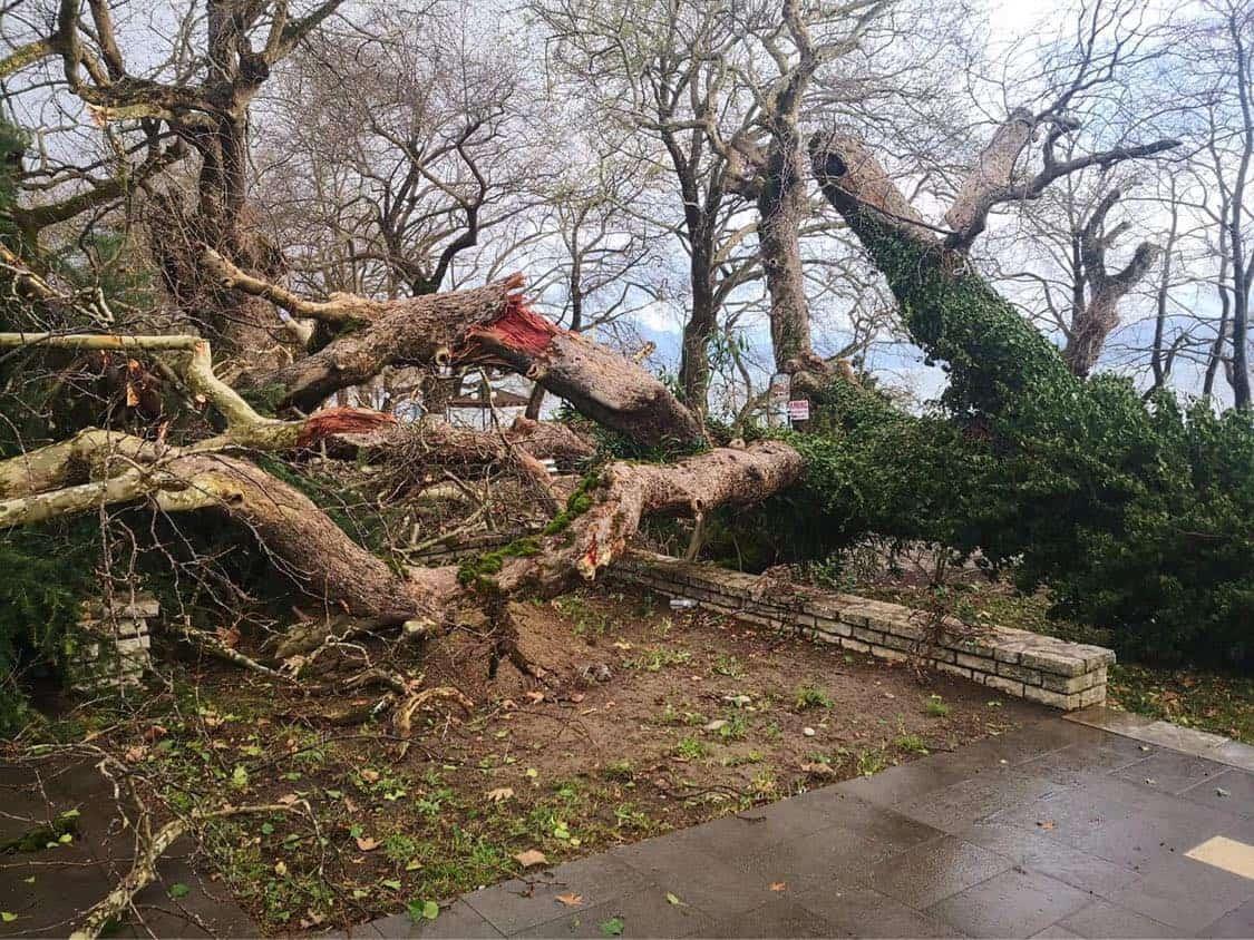 Εικόνα που περιέχει εξωτερικός χώρος/ύπαιθρος, ουρανός, έδαφος, κλαδάκιΠεριγραφή που δημιουργήθηκε αυτόματα