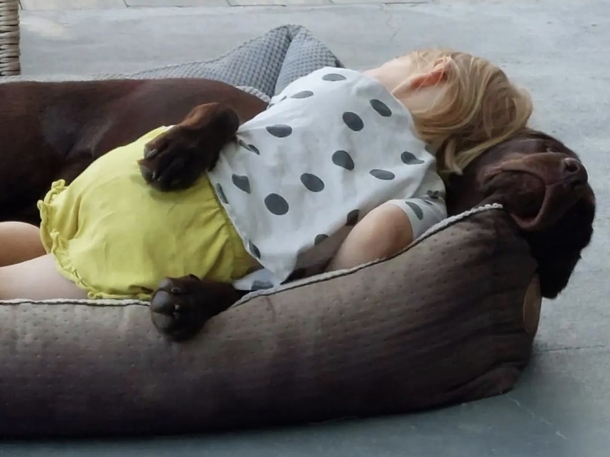Pes a dieťa ležiaci v pelechu.