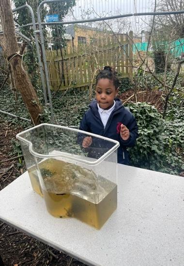 A child looking at a fish in a container

Description automatically generated
