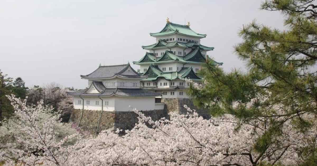 Explore Nagoya Castle + Top 10 Must-Do Activities in Japan's Hidden Gem - Nagoya