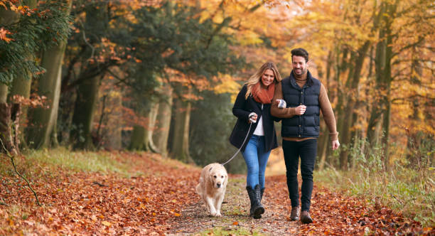 Take a nature walk together