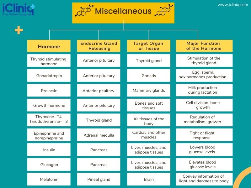 Hormones in the Body - Chemical Class - miscellaneous