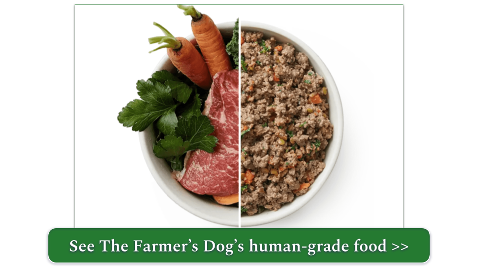 Best human clearance grade dog food