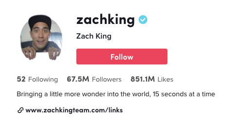 Funny TikTok bio