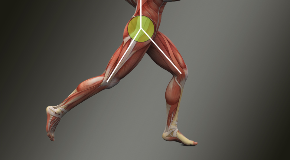 Hip Flexibility is Speed — North County Sports Medicine and Physical Therapy