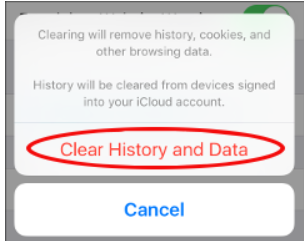 Click on Clear History and Data to confirm deleting website data from your iPhone.