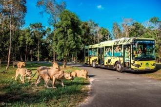 Vé Vinpearl Safari Phú Quốc - Klook Việt Nam