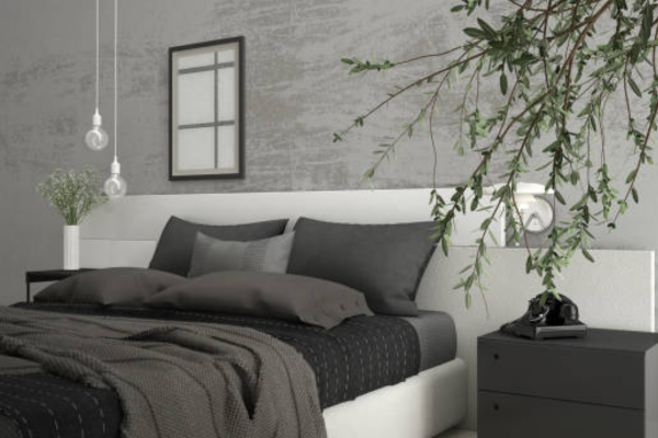 Grey bedroom with plants