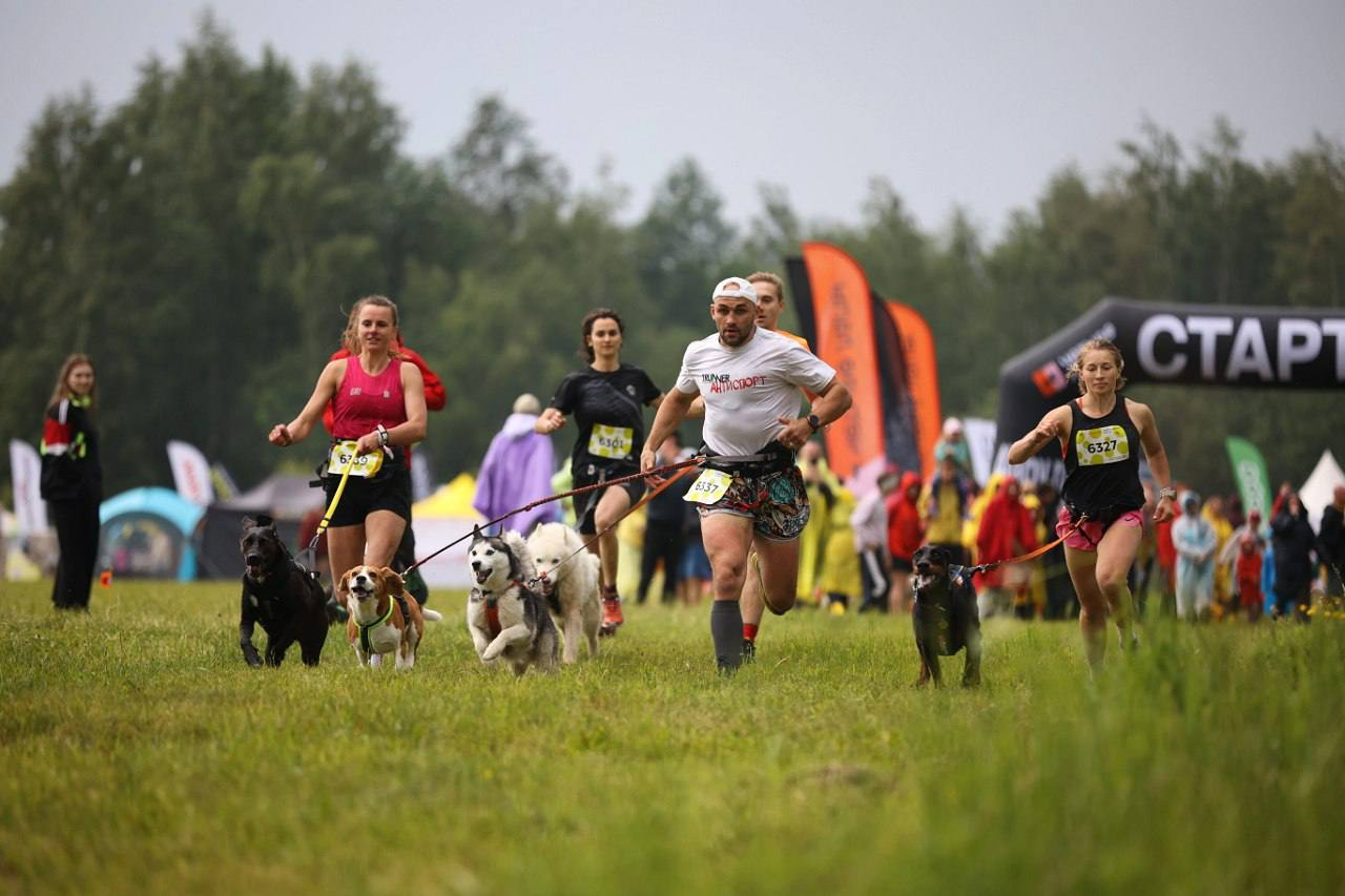 Фестиваль спорта. Спортмарафонфест. Спортмарафон фест. Sport marafon Fest.