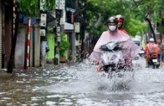 Thực hiện sưu tầm tài liệu