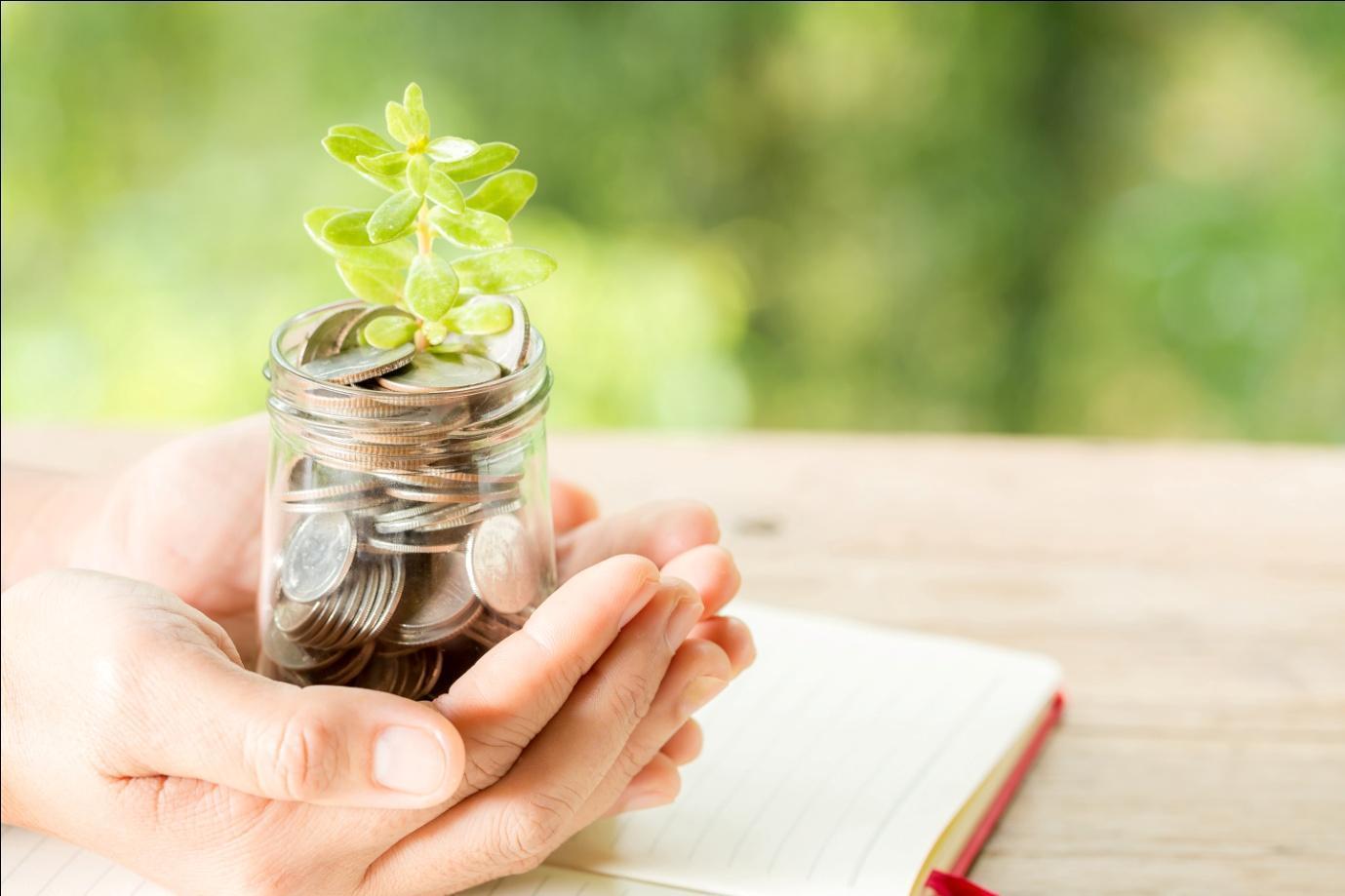 C:\Users\microsoft\Downloads\woman-hand-holding-plant-growing-from-coins-bottle.jpg